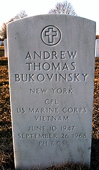 Andrew T Bukovinsky