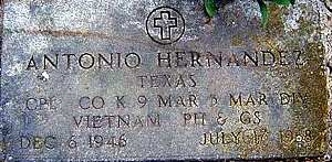 Antonio L Hernandez