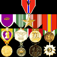 Bronze Star, Purple Heart (2), Army Commendation, Good Conduct, National Defense, Vietnam Service, RVN Military Merit, RVN Gallantry Cross, RVN Campaign