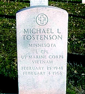 Michael L Tostenson